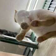 ヒメ日記 2026/02/24 01:45 投稿 河美　ひらり OL精薬