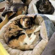 ヒメ日記 2026/02/26 00:15 投稿 河美　ひらり OL精薬