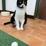 河美　ひらり BELFUS はじめまして様💌 OL精薬