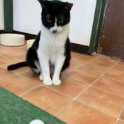 河美　ひらり Perna はじめまして様💌 OL精薬