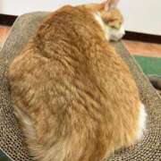 ヒメ日記 2026/03/05 00:35 投稿 河美　ひらり OL精薬