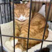 ヒメ日記 2026/03/15 00:25 投稿 河美　ひらり OL精薬