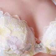 ヒメ日記 2026/03/15 11:45 投稿 河美　ひらり OL精薬