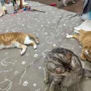 ヒメ日記 2026/03/27 00:45 投稿 河美　ひらり OL精薬