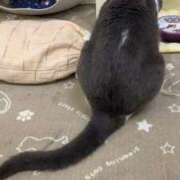 ヒメ日記 2026/04/04 00:15 投稿 河美　ひらり OL精薬