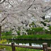 ヒメ日記 2026/04/13 00:45 投稿 河美　ひらり OL精薬