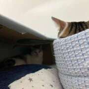 ヒメ日記 2026/08/08 01:15 投稿 河美　ひらり OL精薬