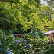 ヒメ日記 2026/08/22 00:15 投稿 河美　ひらり OL精薬