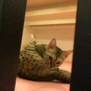 ヒメ日記 2026/09/21 00:15 投稿 河美　ひらり OL精薬