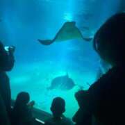 ヒメ日記 2025/10/10 12:01 投稿 なぎ 激安ドットコム