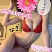 ヒメ日記 2026/02/12 12:54 投稿 なぎ 激安ドットコム