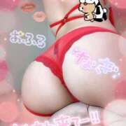 ヒメ日記 2026/02/23 19:50 投稿 なぎ 激安ドットコム