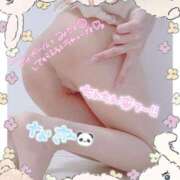 なぎ 出勤しました🌸 激安ドットコム