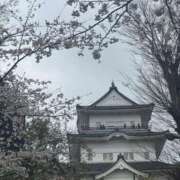 ヒメ日記 2025/04/03 14:03 投稿 あゆみ 小田原人妻城