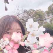 ヒメ日記 2025/04/03 16:33 投稿 あゆみ 小田原人妻城