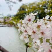 あゆみ [お題]from:purinさん 小田原人妻城