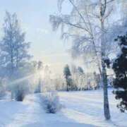 ヒメ日記 2025/12/12 12:04 投稿 柚子（ゆず） Shiny