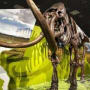 ヒメ日記 2025/10/30 20:19 投稿 あいみ G-SCANDAL