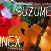 ヒメ日記 2024/12/25 17:04 投稿 わかな SUZUME