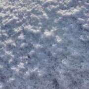 ヒメ日記 2025/02/24 09:18 投稿 わかな SUZUME