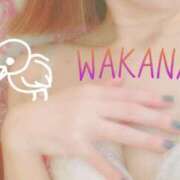 ヒメ日記 2025/02/25 09:23 投稿 わかな SUZUME