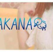 ヒメ日記 2025/04/08 08:34 投稿 わかな SUZUME