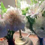 ヒメ日記 2025/04/20 09:49 投稿 わかな SUZUME