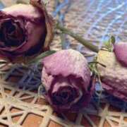 ヒメ日記 2025/05/12 15:14 投稿 わかな SUZUME