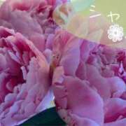 ヒメ日記 2025/05/17 08:44 投稿 わかな SUZUME