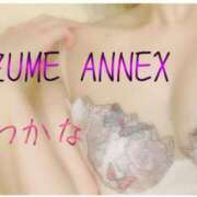 ヒメ日記 2025/05/24 09:08 投稿 わかな SUZUME