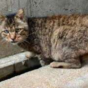 ヒメ日記 2025/06/15 09:54 投稿 わかな SUZUME