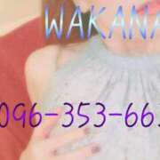 ヒメ日記 2025/06/29 09:13 投稿 わかな SUZUME