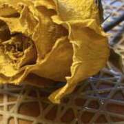 ヒメ日記 2025/07/07 18:30 投稿 わかな SUZUME