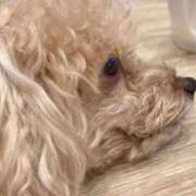 ヒメ日記 2025/07/21 09:00 投稿 わかな SUZUME