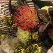 ヒメ日記 2025/09/11 18:43 投稿 わかな SUZUME