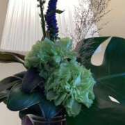 ヒメ日記 2025/09/13 08:47 投稿 わかな SUZUME