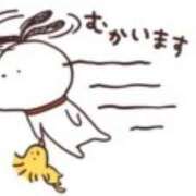 ヒメ日記 2025/10/19 08:48 投稿 わかな SUZUME