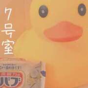 ヒメ日記 2025/11/09 09:00 投稿 わかな SUZUME