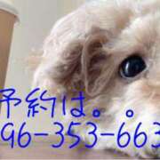 ヒメ日記 2026/01/25 09:45 投稿 わかな SUZUME