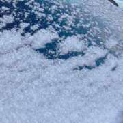 わかな ᐕ)ﾉ SUZUME