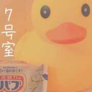 ヒメ日記 2026/04/12 08:32 投稿 わかな SUZUME