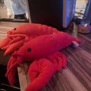 ヒメ日記 2025/06/28 15:37 投稿 せな 千葉人妻セレブリティ（ユメオト）