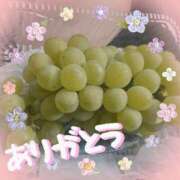 ヒメ日記 2025/08/02 18:51 投稿 せな 千葉人妻セレブリティ（ユメオト）