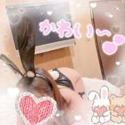 ヒメ日記 2025/09/12 15:13 投稿 せな 千葉人妻セレブリティ（ユメオト）