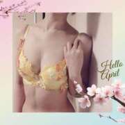 ヒメ日記 2025/04/04 06:15 投稿 ★たま★ 沼津発 人妻デリヘル お蝶婦人