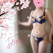 ヒメ日記 2026/03/26 06:15 投稿 ★たま★ 沼津発 人妻デリヘル お蝶婦人