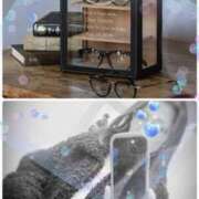 ヒメ日記 2024/12/31 07:41 投稿 あきら 奥鉄オクテツ大阪