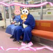 ヒメ日記 2025/03/20 17:09 投稿 あきら 奥鉄オクテツ大阪