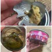 ヒメ日記 2025/04/11 08:08 投稿 あきら 奥鉄オクテツ大阪