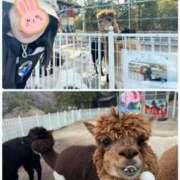 ヒメ日記 2025/04/17 10:13 投稿 あきら 奥鉄オクテツ大阪